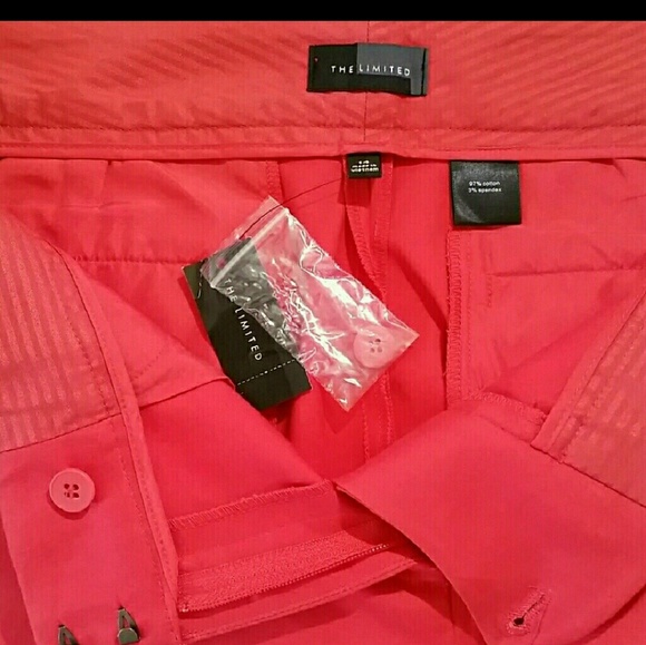 NWT THE LIMITED SHORTS - Picture 3 of 4